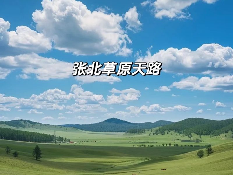 总要来一趟张北草原天路吧_1_化妆师阿月儿